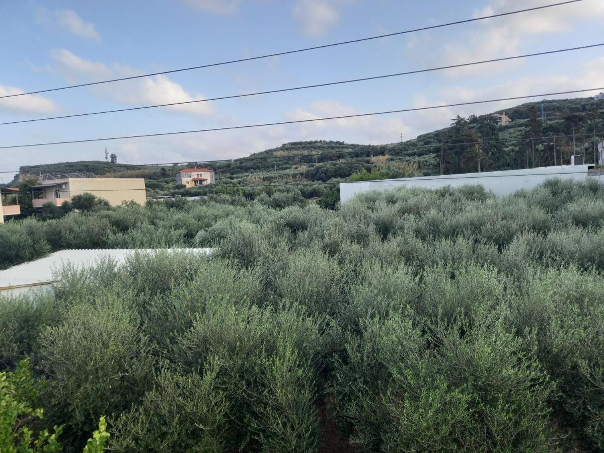 Michalis Litinas Apartments Agia Marina エクステリア 写真